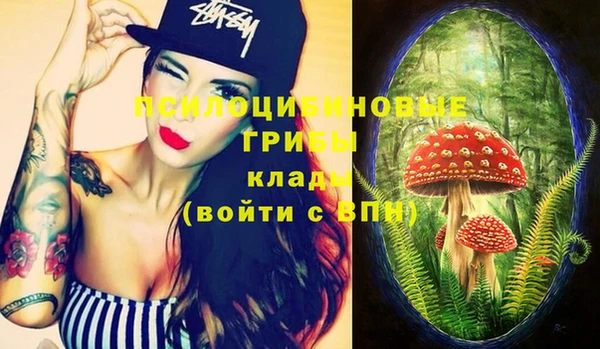 дживик Горно-Алтайск