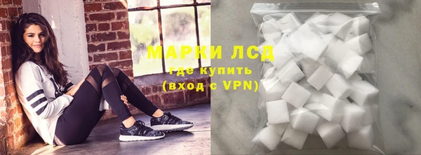 стаф Вяземский