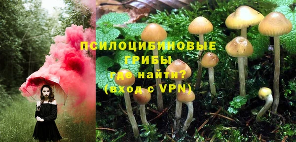 дживик Горно-Алтайск
