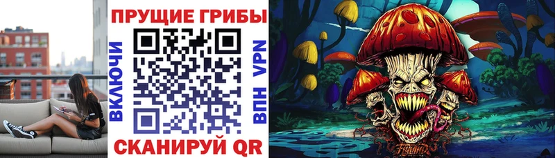 Псилоцибиновые грибы Cubensis  где купить наркотик  Заринск 